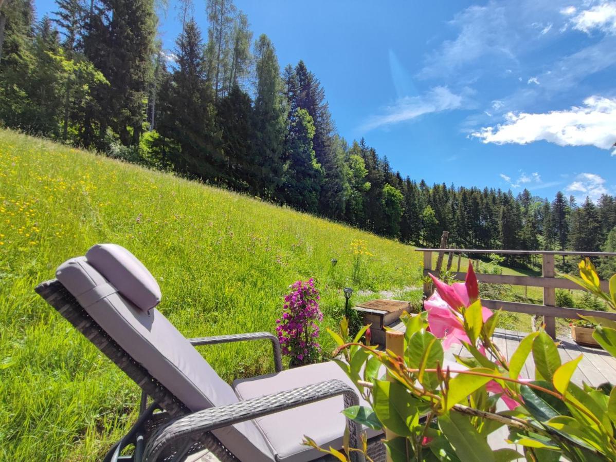Villa Bischofsberg - Laerchen-Wellness Apartment Windischgarsten Zewnętrze zdjęcie